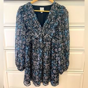 Blue Rain Women’s Long Sleeve XS Floral Dress